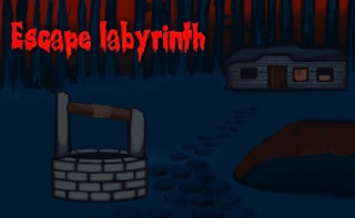 Image Escape Labyrinth