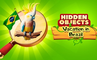 Image Hidden Objects Vacation in Brazil