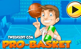 Image Pro Basket